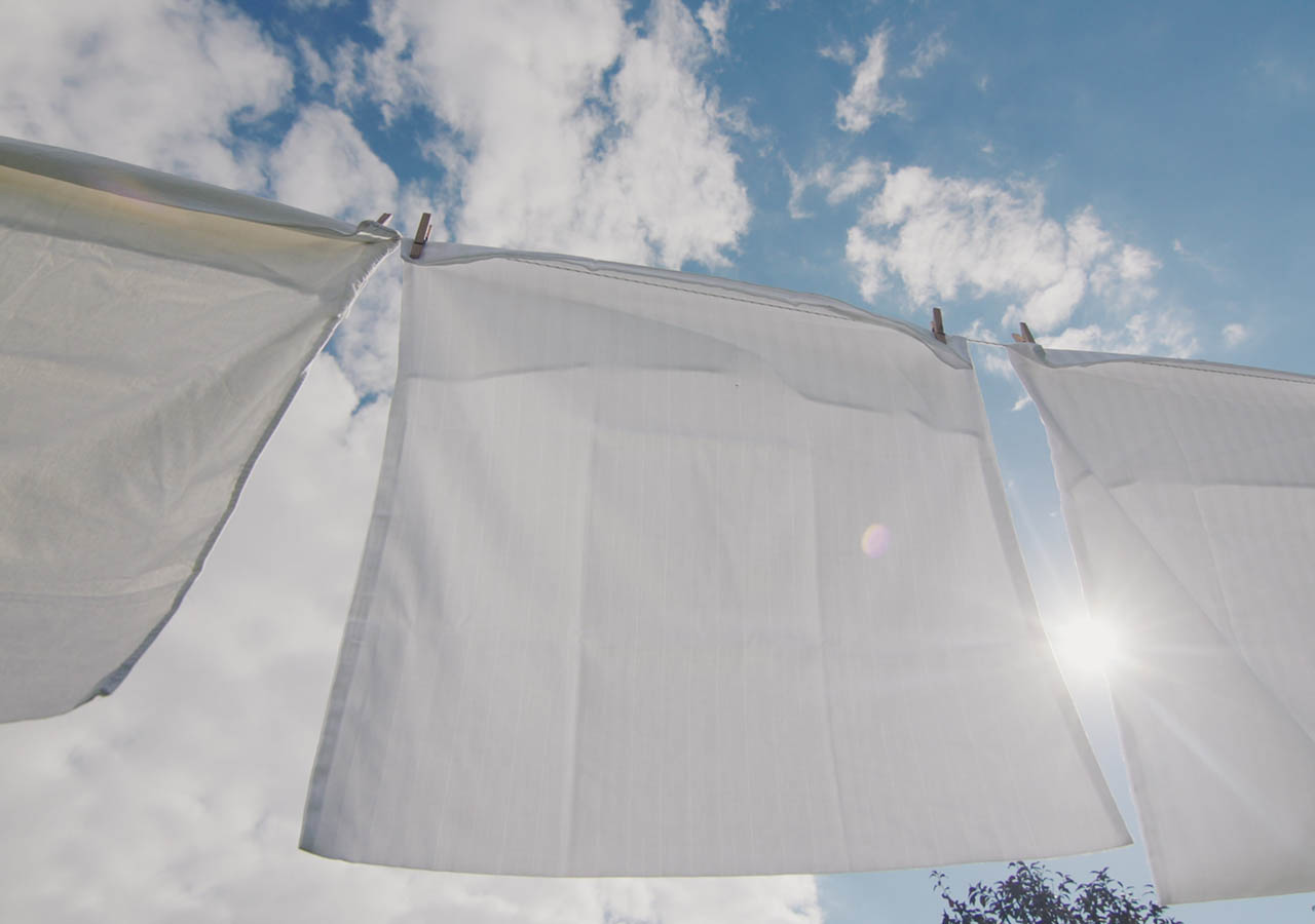 Best laundry detergent for septic tanks Septic Tank Services