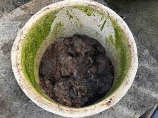 A full septic tank about to be emptied by Septic Tank Services Ltd