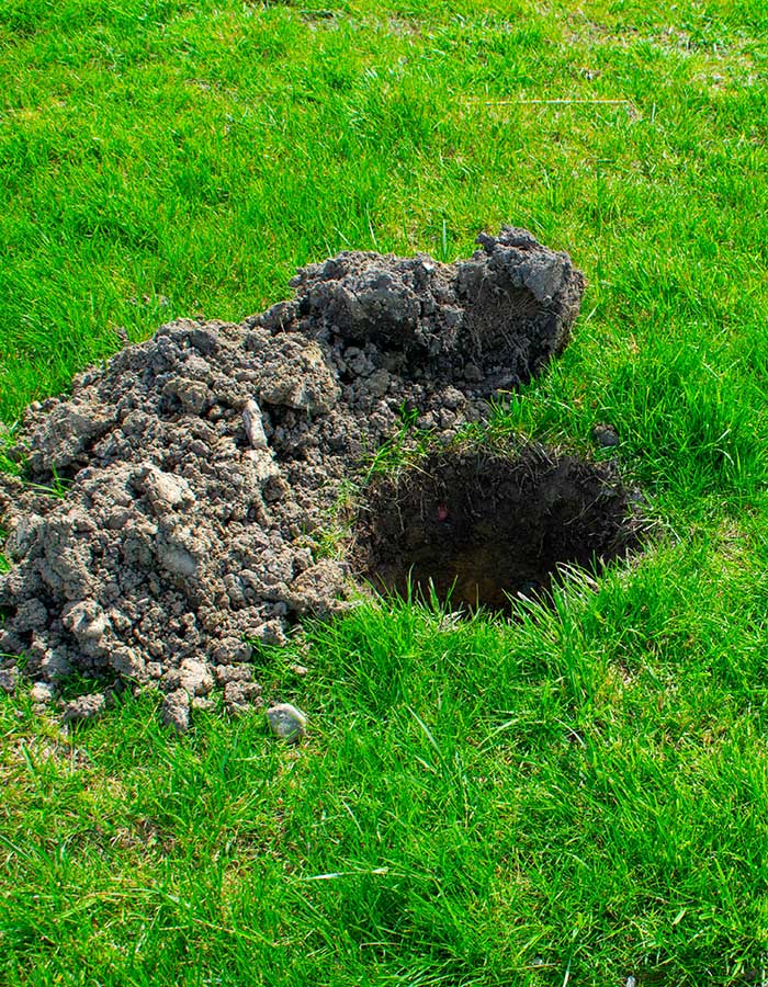 Hole dug ready for percolation testing