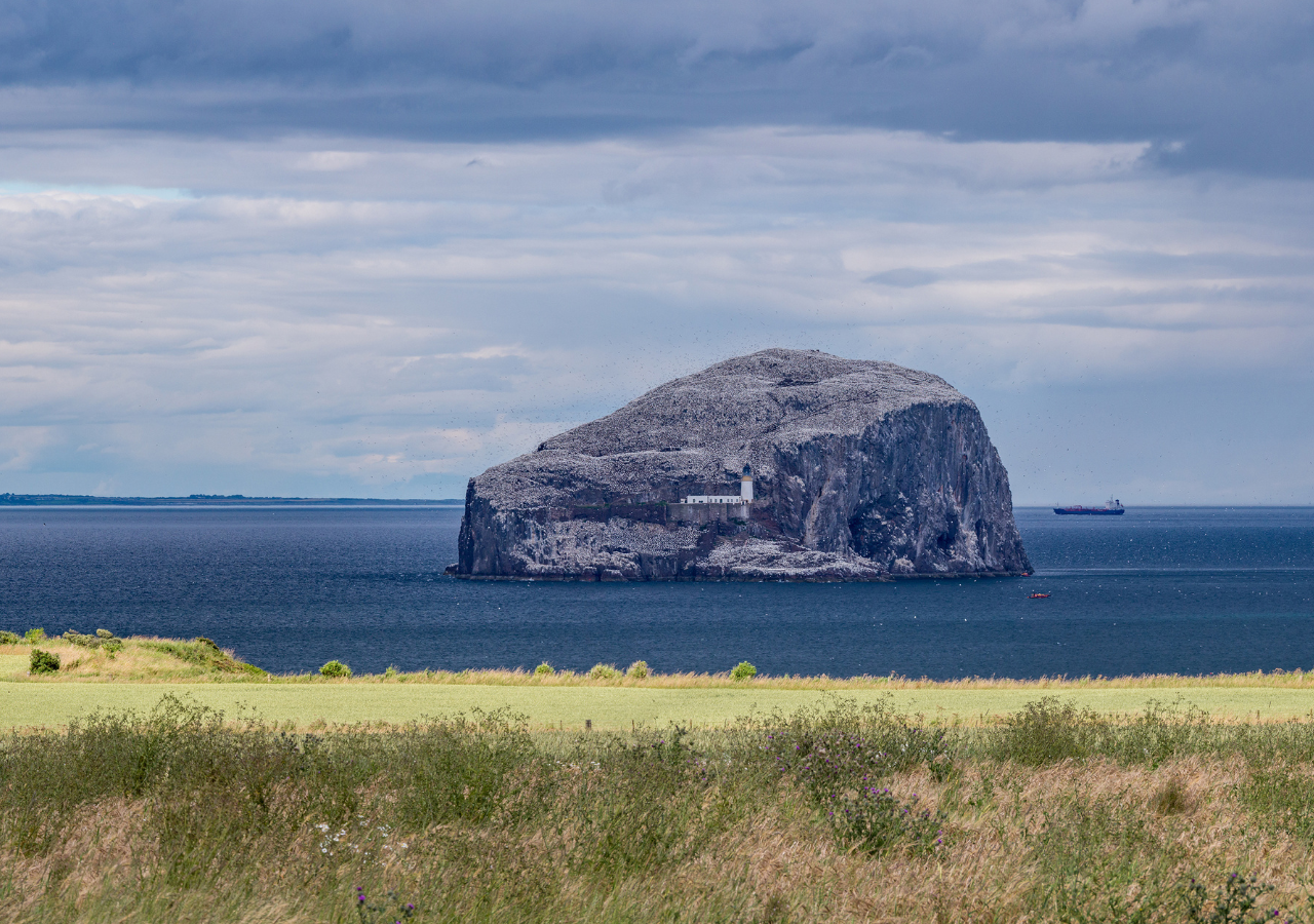 The Bass Rock.